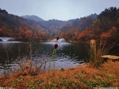 廣德發(fā)展生態(tài)養(yǎng)殖 魚苗場拓寬農(nóng)民增收渠道