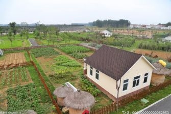 綏化市召開“喜迎省第十三次黨代會”新聞發(fā)布會 地區(qū)生產(chǎn)總值實現(xiàn)1178億元