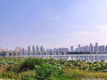黑龍江春整地已完成2743.57萬畝 旱田已播種297.32萬畝