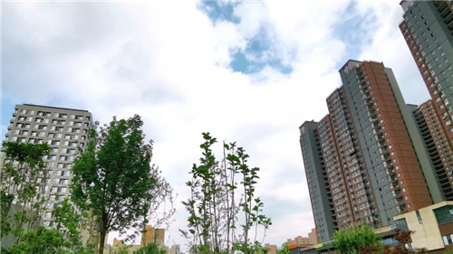河北優(yōu)化市場(chǎng)環(huán)境 編制信用監(jiān)管事項(xiàng)清單實(shí)行動(dòng)態(tài)管理