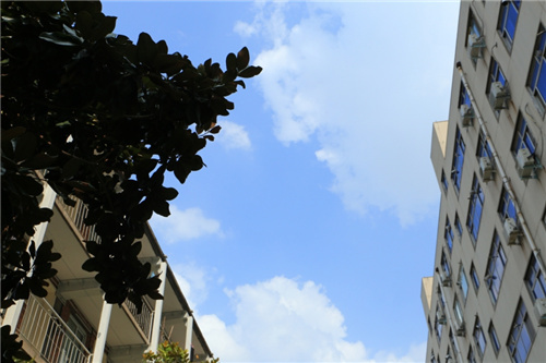 河北發(fā)放430.94億元住房公積金貸款 新增“跨省通辦”事項8項