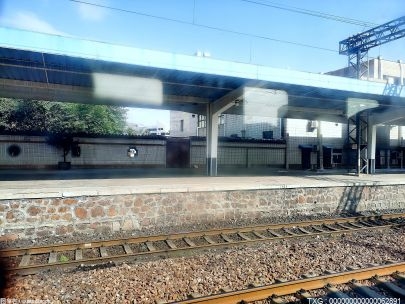 遼港集團全力保障商品車海鐵聯(lián)運大通道暢通 過境運輸項目月發(fā)運量破千