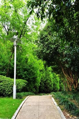 深圳紅十字會舉行主題宣傳活動 首個(gè)“博愛家園”揭牌