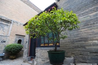 北安開展植青年林活動 推廣生態(tài)文明建設(shè) 