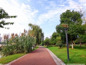 成都發(fā)布公園城市示范區(qū)行動(dòng)計(jì)劃 規(guī)劃5年構(gòu)建藍(lán)綠交織公園體系