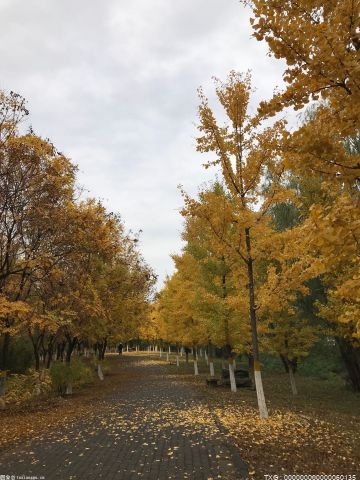 曹妃甸新城全面推進城市常態(tài)化精細(xì)化管理 治理城市頑疾