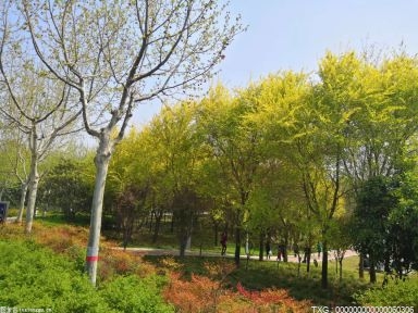 池州推進農(nóng)村人居環(huán)境整治 實現(xiàn)村村“綠凈美”
