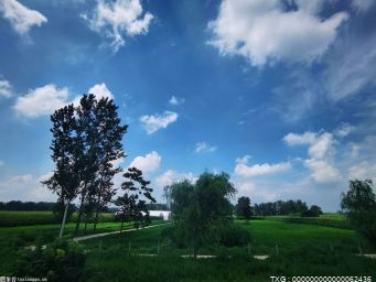 河北推動林草產(chǎn)業(yè)高質量發(fā)展 加強規(guī)劃林地保護