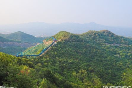 河北推出11項措施 著力抓好“三夏”生產(chǎn)工作
