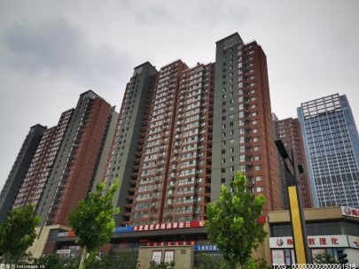 深圳舉行2022中新經(jīng)貿(mào)合作交流會(huì) 促進(jìn)兩地企業(yè)搭建溝通交流平臺(tái)