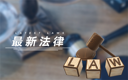 什么是反向工程？使用反向工程的限制有什么？